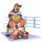 2021 abs absurd_res amazon_position amira_winters anthro black_hair blue_eyes boots boxing boxing_gloves brown_body brown_eyes brown_fur canid canine canis clothed clothing competition coyote crotchless_bottomwear crotchless_clothing dcheese digital_media_(artwork) female footwear fur genitals green_highlights hair handwear headgear hi_res highlights_(coloring) knot koc male male/female mammal maned_wolf mouthguard muscular muscular_female muscular_male orange_body orange_fur penis piledriver_position pubes pussy red_hair sex sexfight sexual_competition sport story story_in_description topless vidar_(yuviau) 