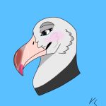  1:1 albatross ambiguous_gender anthro avian bird calm eyebrows eyelashes eyeliner feathers girly grey_body grey_feathers lipstick low_res makeup neutral_expression neutral_face procellariiform profile solo 