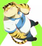  2013 anthro belly blush bottomwear clothing eyewear felid glasses hinami humanoid_hands kemono male mammal overweight overweight_male pantherine pants shirt simple_background solo tiger topwear 