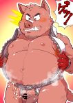  2021 anthro balls belly blush bumomomoboa censored genitals hi_res humanoid_hands japanese_text kemono male mammal moobs musk nipples overweight overweight_male penis small_penis solo suid suina sus_(pig) text wild_boar 