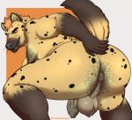  anthro anus backsack ball_tuft balls body_hair butt butt_hair foreskin genitals hairy hairy_balls hi_res hyaenid male mammal obese overweight perineum presenting presenting_anus pubes raised_tail solo treebarkdragon tuft 