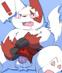  ! 2021 anthro balls blush bodily_fluids drooling erection genitals hi_res kemono male nintendo penis pok&eacute;mon pok&eacute;mon_(species) red_body saliva sitting slightly_chubby solo video_games wanisuke white_body zangoose 