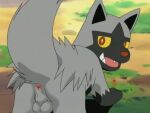  anus azzyyeen balls canid canine edit edited_screencap fangs feral fur genitals grass grey_body grey_fur male mammal nintendo open_mouth outside plant pok&eacute;mon pok&eacute;mon_(species) poochyena presenting presenting_anus screencap solo video_games 