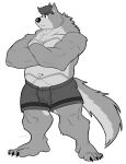  2021 absurd_res anthro bottomwear canid canine canis claws clothed clothing crossed_arms eyebrows fur hair hi_res male mammal markings muscular muscular_anthro muscular_male navel shorts simple_background solo splashburr standing topless topless_male tuft white_background wolf 
