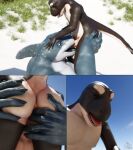  3d_(artwork) 5_fingers 5_toes absurd_res anal anal_fingering anthro balls beach belly big_balls big_penis bigjoppa biped black_body carpet_shark carrying cetacean chubby_male deep_throat delphinoid digital_media_(artwork) duo feet fellatio fin fingering fingers fish foreskin genitals head_fin hi_res holding_object huge_penis humanoid_feet humanoid_genitalia humanoid_hands humanoid_penis hyper hyper_genitalia hyper_penis male male/male mammal marine multi_genitalia navel nipples oceanic_dolphin oral orca overweight overweight_male penile penis sand seaside sex shark size_difference slightly_chubby sunbathing surfboard thick_thighs toes toothed_whale whale_shark white_body 