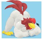  2021 anthro ass_up avian avian_caruncle beak belly biceps big_belly big_butt biped bird bird_feet black_eyes blue_background border butt chicken claws comb_(anatomy) dewlap_(anatomy) digital_media_(artwork) digitigrade feathers foghorn_leghorn front_view galliform gallus_(genus) grandall_(artist) hanna-barbera head_crest hi_res huge_butt jack-o&#039;_pose leghorn_chicken looney_tunes male multicolored_body multicolored_feathers musclegut muscular muscular_anthro muscular_male narrowed_eyes nude open_beak open_mouth overweight overweight_anthro overweight_male phasianid pink_tongue pose red_body red_feathers red_tail scutes shaded signature simple_background solo tail_feathers thick_thighs toe_claws tongue two_tone_body two_tone_feathers warner_brothers wattle white_body white_border white_feathers wide_hips yellow_beak yellow_claws 