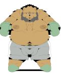  2021 absurd_res anthro balls_outline beard belly black_nose bottomwear brown_body bulge clothing facial_hair genital_outline hi_res kemono male mammal moobs navel nipples overweight overweight_male penis_outline shorts sigenoya simple_background solo ursid white_background 