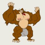  after_transformation anthro ape big_muscles bottomwear brown_body brown_fur bulge clothed clothing fur genital_outline haplorhine huge_muscles hyper hyper_muscles male male/male mammal muscular muscular_male necktie nipples penis_outline primate rackun solo tight_clothing tight_underwear topwear transformation tusks underwear 