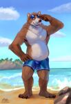  absurd_res anthro aviator_glasses beach belly blue_clothing blue_eyes blue_swimwear brown_body brown_fur cervid claws clothed clothing cloud detailed_background eyewear eyewear_on_head fur hand_on_hip happy head_tuft hi_res hybrid island looking_aside male mammal mishka_(starstrucksam) overweight overweight_male pawpads rock sand sea seaside sky slightly_chubby smile solo standing sunglasses sunglasses_on_head swimming_trunks swimwear topless tuft ursid water white_belly white_body white_fur zephyxus 