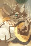  abs anthro birry41 canid canine canis clothed clothing food fruit fur green_eyes hi_res jackal male mammal melon muscular muscular_male pecs plant seth_(tas) solo tokyo_afterschool_summoners video_games 