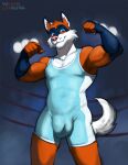  5_fingers abs anthro balls_outline biceps big_bulge blue_sclera bulge canid canine canis claws clothed clothing domestic_dog fighting_ring finger_claws fingers flexing fur genital_outline hi_res husky looking_at_viewer low-angle_view male mammal muscular muscular_anthro muscular_male nordic_sled_dog orange_body orange_fur pecs penis_outline pose smile solo spitz vulgarstarling whisker_spots white_body white_fur wrestling_singlet 