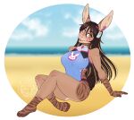  absurd_res alpha_channel anthro beach blizzard_entertainment breasts brown_body brown_fur brown_hair buckteeth clothed clothing cosplay d.va_(overwatch) facial_markings female fur gloves_(marking) hair head_markings hi_res lagomorph leg_markings leporid looking_at_viewer mammal markings one-piece_swimsuit overwatch rabbit seaside socks_(marking) solo swimwear teeth thecatnamedfish video_games water yellow_eyes 