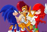  archie_comics knuckles_the_echidna sally_acorn sonic_team sonic_the_hedgehog tails zone 