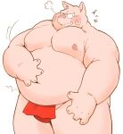  2021 anthro asian_clothing belly blush clothing domestic_pig east_asian_clothing fundoshi japanese_clothing kemono male mammal meg_hoi moobs navel nipples overweight overweight_male red_clothing red_fundoshi red_underwear simple_background solo suid suina sus_(pig) underwear white_background 