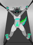  3:4 anthro balls bdsm bondage bound byteware digital_media_(artwork) erection fur gag gagged genitals glowing glowing_genitalia green_body green_fur grey_body grey_tail hands_tied legs_tied machine male male/male mammal nude penile penis protogen solo submissive wolfwars_(bytewaretheproto) 