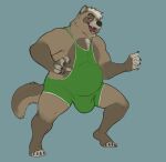  2021 anthro brown_body brown_fur bulge canid canine fur horrorbuns humanoid_hands male mammal musclegut overweight overweight_male raccoon_dog simple_background solo tanuki wrestling_singlet 