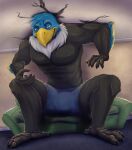  4_toes 5_fingers accipitrid accipitriform ahab_(ahugebird) anisodactyl anthro avian bald_eagle barefoot beak bird bird_feet black_body black_feathers blue_body blue_feathers bottomwear boxer_briefs ceiling claws clothed clothing cramped eagle feathers feet fingers furniture grey_body grey_feathers hi_res inside macro male mane multicolored_body multicolored_feathers muscular muscular_anthro muscular_male partially_clothed pecs phone scutes sea_eagle sofa solo talons toe_claws toes underwear underwear_only vodcat yellow_beak yellow_sclera 