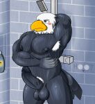  abs accipitrid accipitriform animal_crossing anthro apollo_(animal_crossing) armpit_hair avian balls big_balls big_pecs big_penis bird blush body_hair dg254 eagle erection genitals hair hi_res male muscular muscular_anthro muscular_male nintendo nipples nude pecs penis pubes sea_eagle shower solo video_games water 