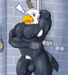  abs accipitrid accipitriform animal_crossing anthro apollo_(animal_crossing) armpit_hair avian bald_eagle balls big_balls big_penis bird body_hair dg254 eagle flaccid genitals hair hi_res male muscular muscular_anthro muscular_male nintendo nipples non-mammal_balls nude penis pubes sea_eagle shower solo surprise video_games water 