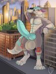  3:4 animal_genitalia animal_penis anthro balls big_balls big_penis canid canine canine_penis canis city cityscape clenched_teeth coyote detailed_background erection genitals hi_res huge_balls huge_penis hyper hyper_genitalia hyper_penis kaixo knot leaning_on_building looking_pleasured macro male mammal masterokami muscular muscular_male nude outside penis public shy solo teeth thick_penis 