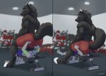  absurd_res anthro big_dom_small_sub bulge butt canid canine clothed clothing coal_(samt517) dominant duo facesitting gym hi_res lying male male/male mammal muscular muscular_male on_back seibear size_difference smile thick_thighs topless 