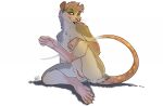  2017 5_toes anthro anus biped feet female fur genitals grey_body grey_fur hair mammal murid murine nude pink_eyes pink_hair pussy rat rodent simple_background solo tiger_blueberry toes tongue whiskers white_background 