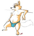  2017 anthro balls belly boreoboros bulge canid canine clothing disney eyewear fox genitals gideon_grey hi_res humanoid_hands male mammal sitting slightly_chubby solo sunglasses swimwear zootopia 