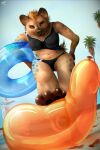  2020 2:3 absurd_res anthro balloon balloon_fetish balloon_popping bent_over bikini breasts brown_body brown_fur clothing feet female fur hair hi_res hyaenid inflatable looking_at_viewer mammal mohawk paws pool_toy poolside popping smaller_version_at_source smile smirk solo spotted_hyena stomping swim_ring swimwear vanchee 