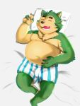  2021 3:4 anthro bed belly black_nose canid canine canis clothing domestic_dog fur furniture green_body green_fur hi_res humanoid_hands kemono live-a-hero lying male mammal mokdai overweight overweight_male pillow ra_yuworld solo underwear video_games 