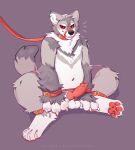  4_toes animal_genitalia anthro asnnonaka balls belly blush bound canid canine canis claws collar digital_media_(artwork) feet genitals hands_tied hi_res looking_at_viewer male mammal pawpads paws penis red_pawpads shaded simple_background slightly_chubby solo toe_claws toes wolf 