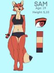  absurd_res anthro auroraki canid canine ear_piercing ear_ring female fox fur hi_res mammal model_sheet orange_body orange_fur piercing sam_(auroraki) solo 