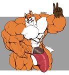  5_fingers abs anthro balls biceps big_balls big_muscles big_penis brown_markings canid canine chest_tuft clothed clothing fingernails fingers fox fur genitals gesture gloves_(marking) hair hair_bun huge_balls huge_muscles huge_penis hyper hyper_balls hyper_genitalia hyper_muscles hyper_penis male mammal markings muscular muscular_anthro muscular_male muscular_thighs nails navel nipples oldshep orange_body orange_fur orange_hair pecs penis quads simple_background smile solo thong tuft underwear underwear_only v_sign white_body white_fur 