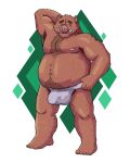  2021 absurd_res anthro balls_outline bearnardo belly blush brown_body brown_fur bulge clothing fur genital_outline hi_res humanoid_hands male mammal moobs navel nipples overweight overweight_male penis_outline solo suid suina sus_(pig) underwear wild_boar 