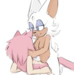  amy_rose anthro big_ears chiropteran duo eulipotyphlan female female/female female_on_top fluffy hedgehog hi_res hottopicpiss mammal on_top rouge_the_bat sega sex sonic_the_hedgehog_(series) 