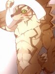  abs anthro blush canid canine canis featureless_crotch fumofumota green_sclera hi_res jackal lifewonders male mammal muscular nude pecs seth_(tas) solo tokyo_afterschool_summoners towel video_games wet 