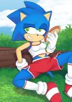  absurd_res anthro bottomwear breasts clothed clothing crossgender eulipotyphlan female footwear gloves grin handwear hedgehog hi_res mammal midriff saltwatertoffee sega shirt shoes shorts sitting small_breasts smile smirk socks solo sonic_the_hedgehog sonic_the_hedgehog_(series) spread_legs spreading tank_top topwear 