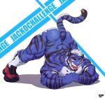  anthro ass_up back_muscles bedroom_eyes bubble_butt butt clothing felid footwear footwear_only hi_res horny_(disambiguation) jack-o&#039;_pose male male/male mammal mostly_nude muscular muscular_anthro muscular_male narrowed_eyes pantherine pose seductive solo tiger tiger_est tongue tongue_out 