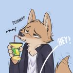  1:1 anthro black_nose blue_background brown_body brown_fur canid canine canis cheek_tuft clothed clothing comic cup digital_media_(artwork) drinking facial_tuft fur head_tuft hi_res holding_cup holding_object jacket juantriforce male mammal neck_tuft ragey red_wolf shirt simple_background solo straw topwear tuft wolf 