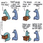  1:1 ? blue_body blue_fox_(foxes_in_love) blue_fur blue_tail box canid canine comic container couple_(disambiguation) dialogue duo english_text feral fox foxes_in_love fur green_body green_fox_(foxes_in_love) green_fur green_tail hi_res male_(lore) mammal shadow simple_background text url 