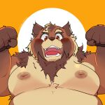  1:1 2021 absurd_res anthro belly blush brown_body brown_fur canid canine fur hi_res humanoid_hands kemono male mammal moobs nipples overweight overweight_male qqmelon888 raccoon_dog simple_background solo tanuki 