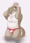  anthro areola asian_clothing biped bulge buruukoori canid canine canis chest_scar chest_tuft clothed clothing digital_media_(artwork) domestic_dog east_asian_clothing facial_scar fundoshi fur grey_body grey_fur hair hi_res japanese_clothing looking_back male mammal moobs nipples overweight overweight_anthro overweight_male pink_sclera ponytail red_clothing red_underwear scar shaded shino_(housamo) solo tokyo_afterschool_summoners topless tuft tying_hair underwear video_games 