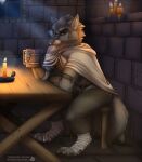  2020 5_fingers akira_volfsar anthro brown_eyes canid canine clothed clothing detailed_background digital_media_(artwork) fingers fur grey_body grey_fur hi_res inside male mammal medieval night solo text url 