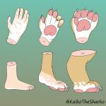  1:1 absurd_res after_transformation ambiguous_gender anthro big_feet claws digital_media_(artwork) digitigrade feet fish growth hi_res hindpaw human humanoid kaikotheshark mammal marine mid_transformation pale_skin pawpads paws pink_pawpads shark simple_background solo species_transformation toes transformation transformation_sequence 
