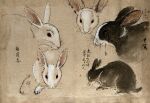  19th_century absurd_res ambiguous_gender ancient_furry_art black_body black_fur feral fur hi_res japanese_text lagomorph leporid long_ears mammal multicolored_body multicolored_fur multiple_images rabbit sketch_page solo text traditional_media_(artwork) two_tone_body two_tone_fur unknown_artist whiskers white_body white_fur 