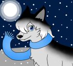  black_body black_fur black_nose blue_eyes blue_scarf blue_sky canid canine canis cute_fangs detailed_background digital_drawing_(artwork) digital_media_(artwork) fur gradient_fur grey_body grey_fur looking_at_viewer male mammal night outside scarf sky snow snowing unknown_artist wolf 