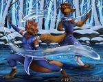  2020 5:4 akira_volfsar anthro avatar:_the_last_airbender brown_body brown_fur canid canine clothed clothing day detailed_background digital_media_(artwork) duo elemental_manipulation eyebrows eyelashes fur male mammal nickelodeon outside smile water_manipulation 