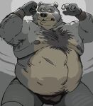  2021 anthro belly black_nose fighting_ring humanoid_hands male mammal moobs motogen nipples overweight overweight_male s_h_bear solo ursid wrestler 