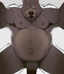  2021 anthro armpit_hair balls belly body_hair brown_body genitals male mammal moobs motogen navel nipples overweight overweight_male penis s_h_bear simple_background solo ursid 