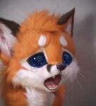  ambiguous_gender black_body black_fur black_nose blue_eyes bodily_fluids canid canine crying crying_cat feral fox fur low_res mammal meme multicolored_body multicolored_fur open_mouth orange_body orange_fur silverfox5213 solo tears tongue whiskers white_body white_fur 