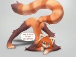  ailurid anthro ass_up blep blue_eyes brown_body brown_fur butt cute_fangs dialogue digital_media_(artwork) elbow_tufts english_text female fur grey_background hair jack-o&#039;_pose looking_at_viewer mammal nude orange_body orange_fur orange_hair pink_tongue pose red_panda saneaz shaded shadow simple_background solo speech_bubble talking_to_viewer text tongue tongue_out zeya_(saneaz) 
